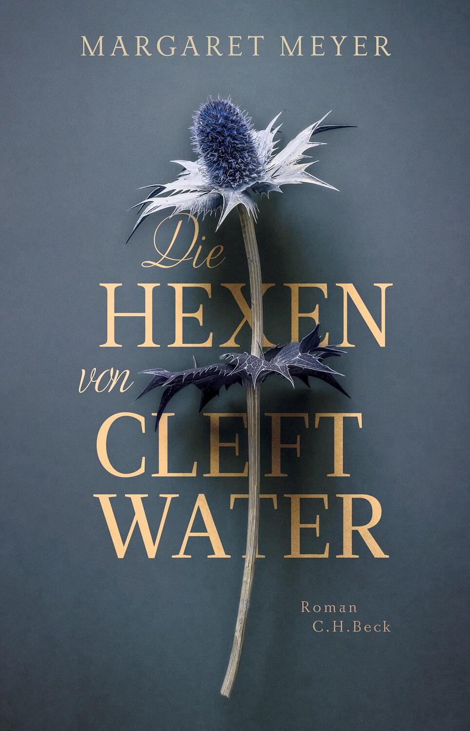 Cover: 9783406806865 | Die Hexen von Cleftwater | Roman | Margaret Meyer | Buch | 350 S.