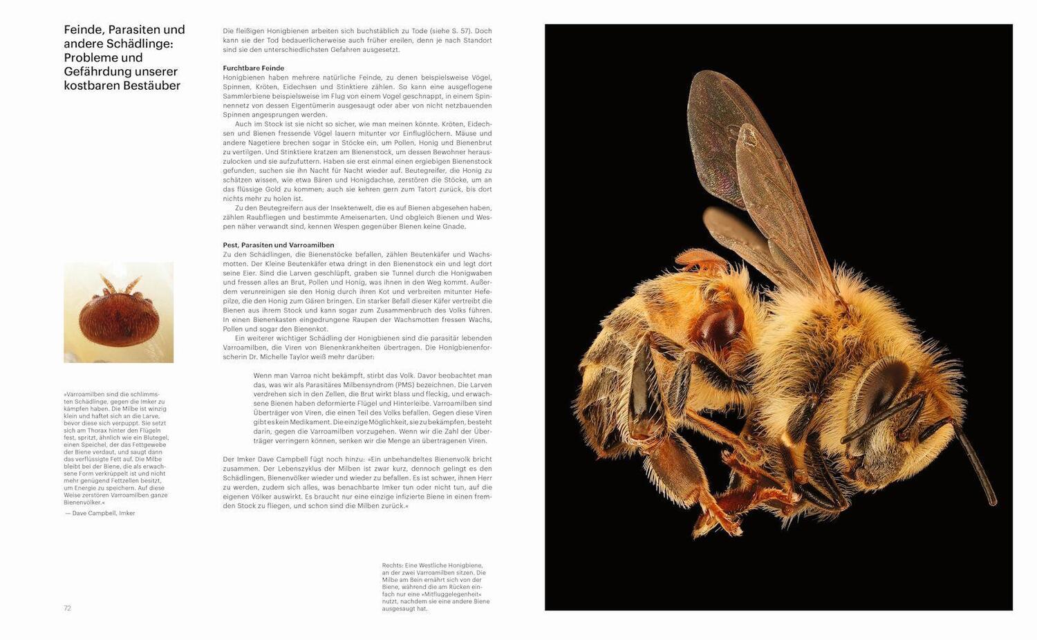 Bild: 9783957288059 | Die Verführung der Biene | und ihr einzigartiger Blick auf die Natur