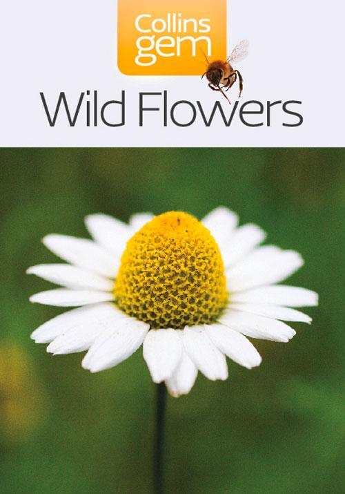 Cover: 9780007178544 | Wild Flowers | Patrick Harding | Taschenbuch | Collins Gem | Englisch