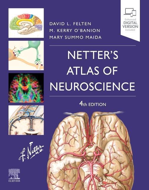 Cover: 9780323756549 | Netter's Atlas of Neuroscience | David L. Felten (u. a.) | Taschenbuch