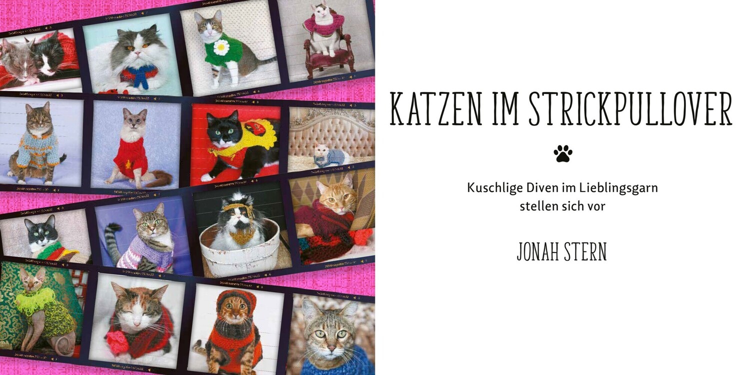 Bild: 9783283013158 | Katzen im Strickpullover | Jonah Stern | Buch | 84 S. | Deutsch | 2022