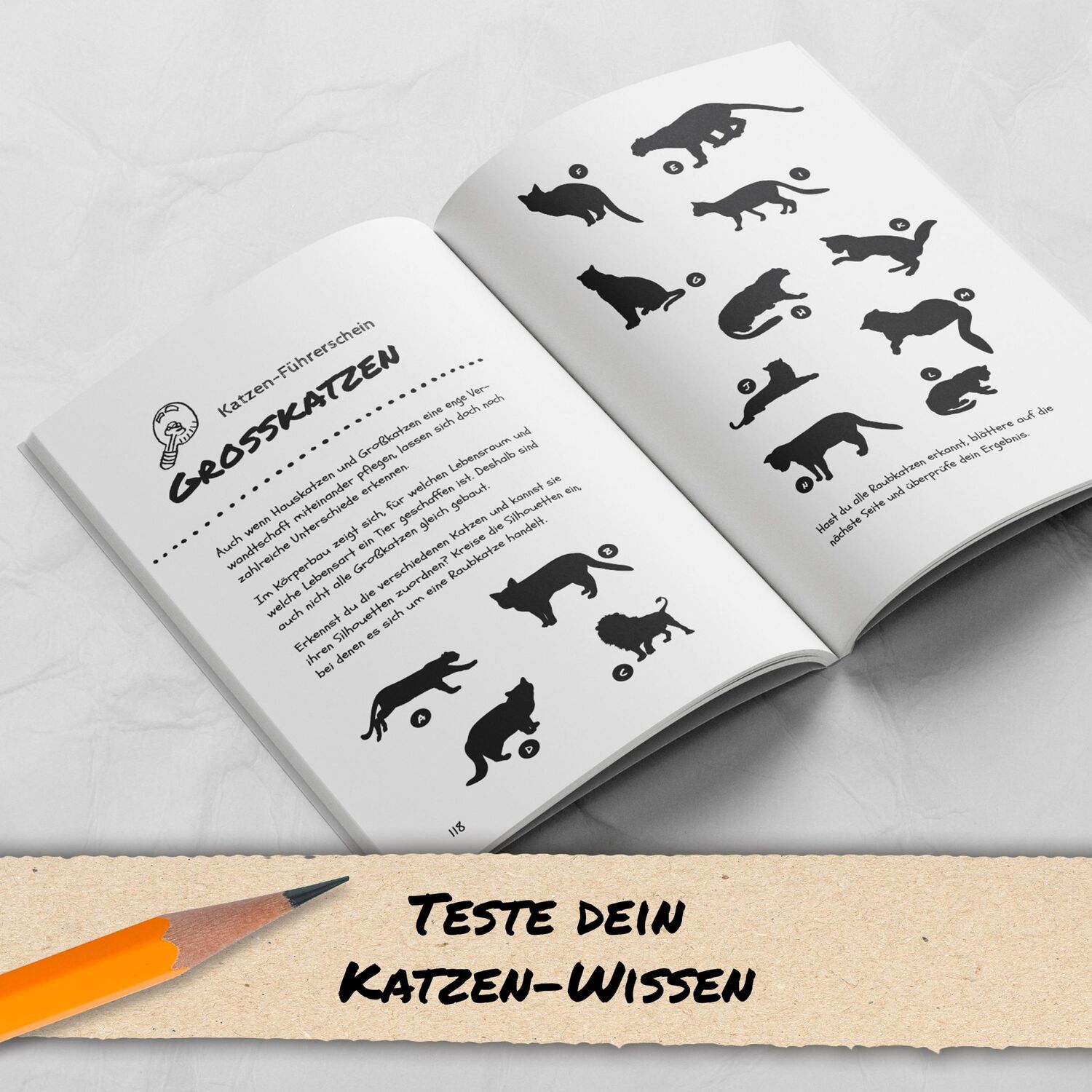 Bild: 9783985610259 | Dieses Buch ist eine Katze | Emilia Frühling | Taschenbuch | Paperback