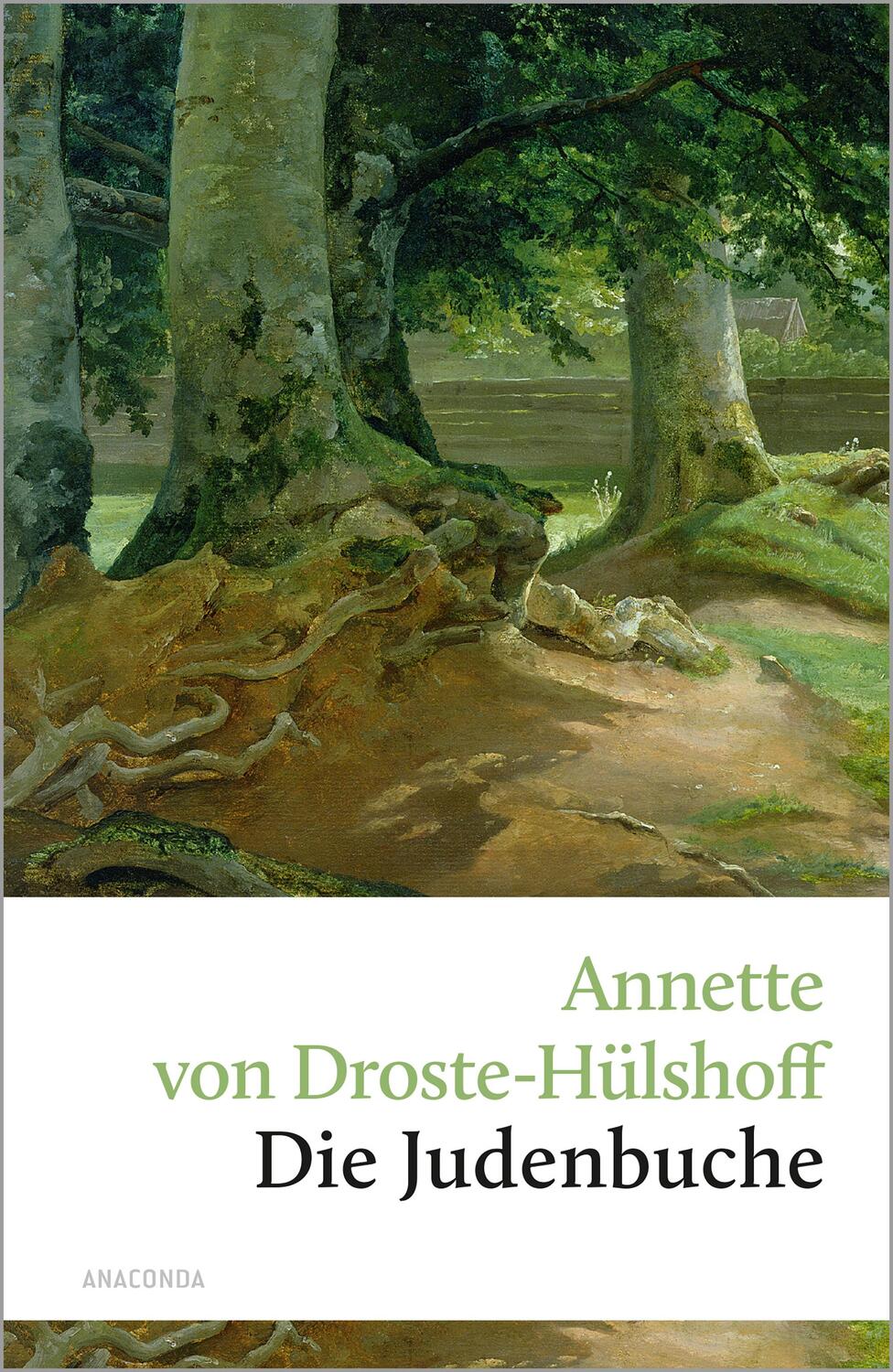 Cover: 9783866470507 | Die Judenbuche | Ein Sittengemälde aus dem gebirgigten Westfalen
