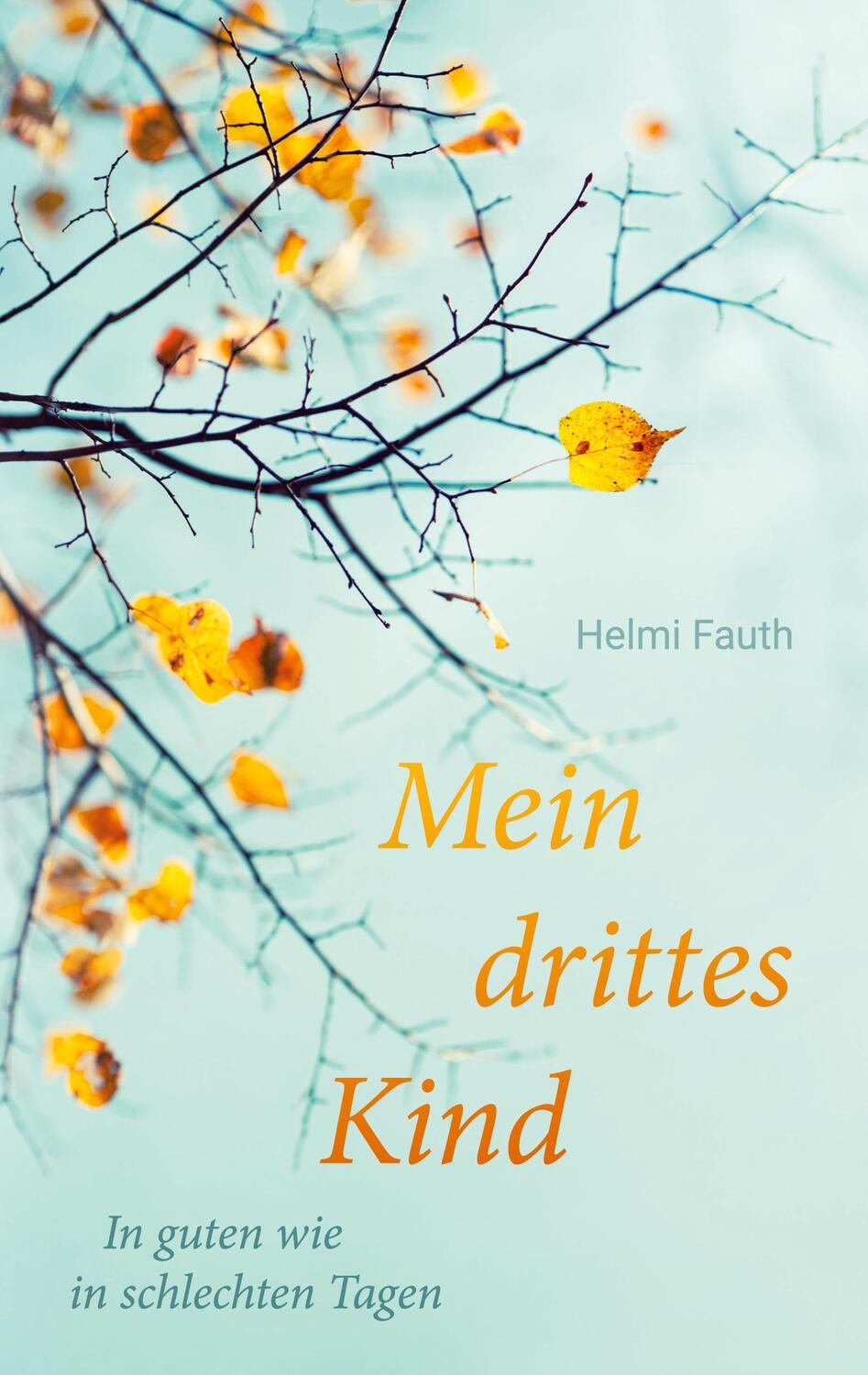 Cover: 9783755746485 | Mein drittes Kind | In guten wie in schlechten Tagen | Helmi Fauth