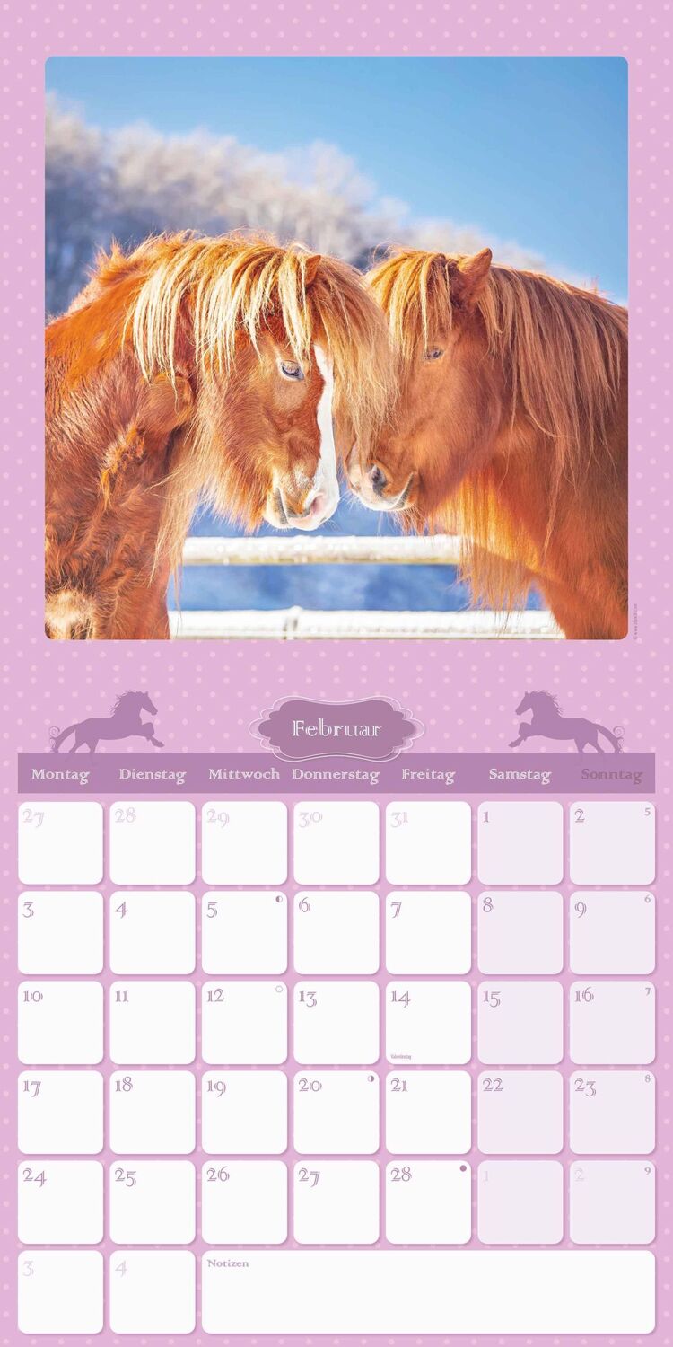 Bild: 4251732340834 | Mein Pferdekalender 2025 - Broschürenkalender 30x30 cm (30x60...