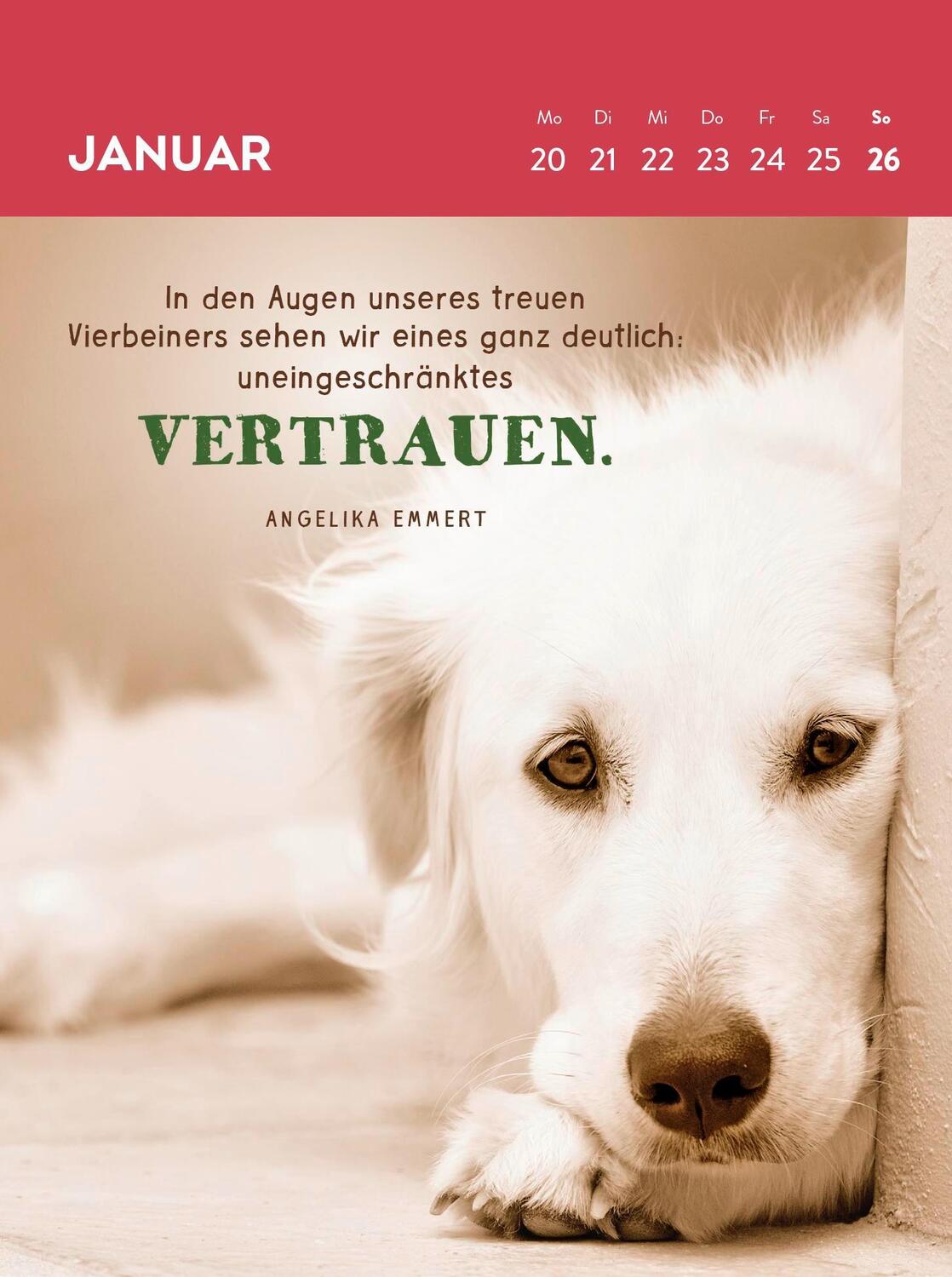 Bild: 4036442012123 | Wochenkalender 2025: Hunde sind die besten Freunde | Groh Verlag