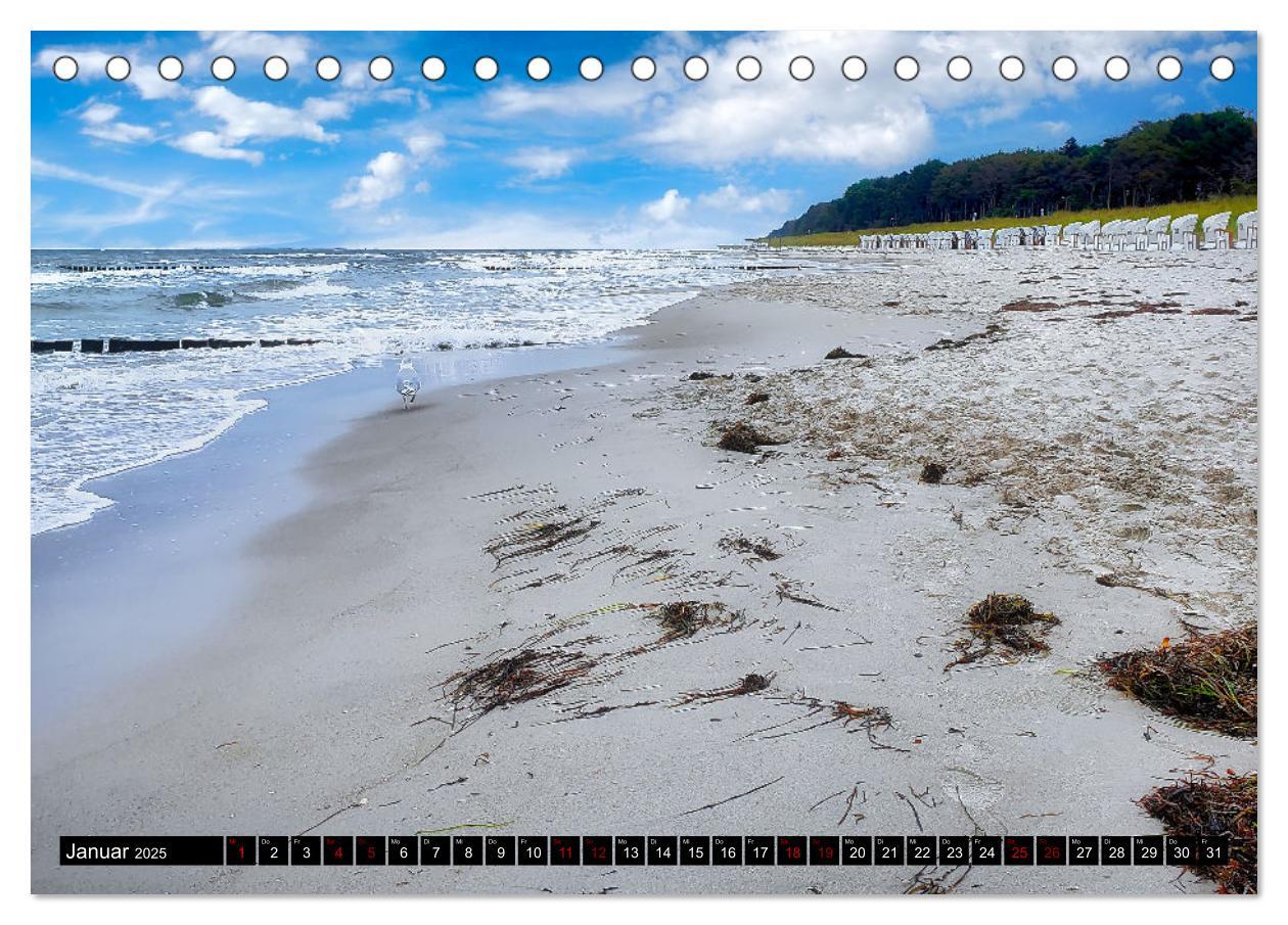 Bild: 9783435023288 | Fischland - Darß- Zingst (Tischkalender 2025 DIN A5 quer), CALVENDO...