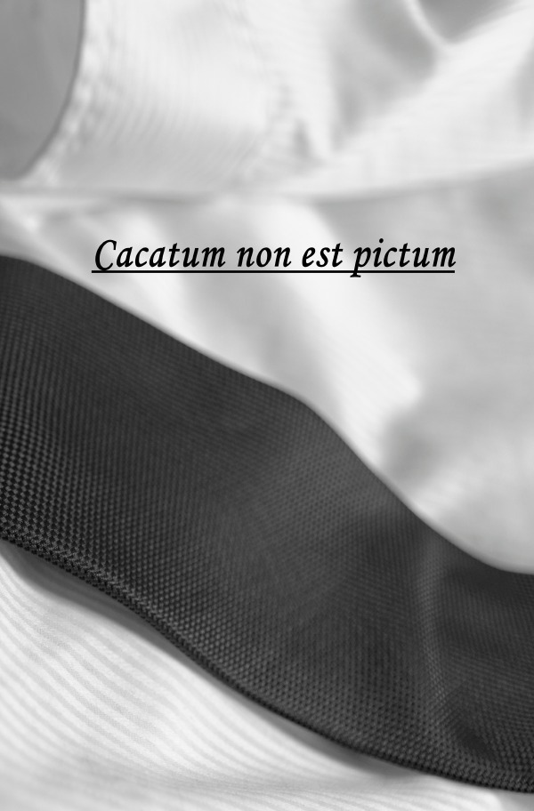 Cover: 9783754162729 | Cacatum non est pictum | Die Woche eines Bankkaufmannes | Vargard
