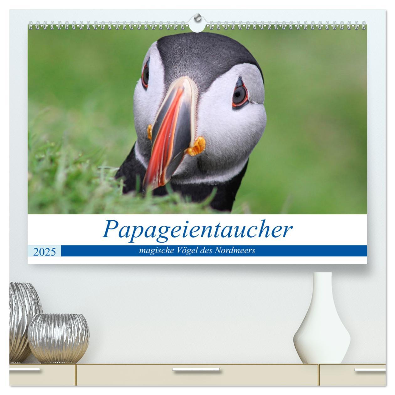 Cover: 9783435001002 | Papageientaucher 2025 - Magische Vögel des Nordmeers (hochwertiger...