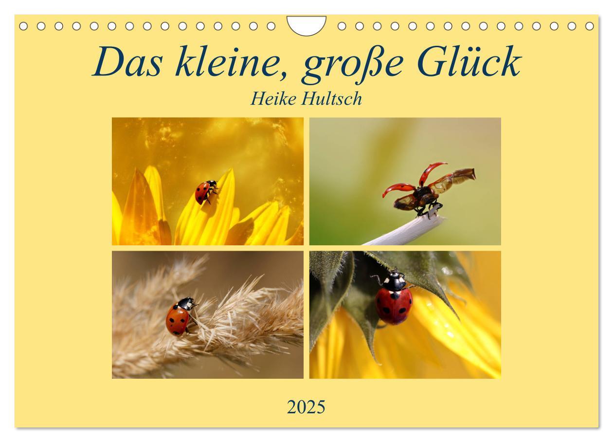 Cover: 9783435841301 | Das kleine, große Glück (Wandkalender 2025 DIN A4 quer), CALVENDO...