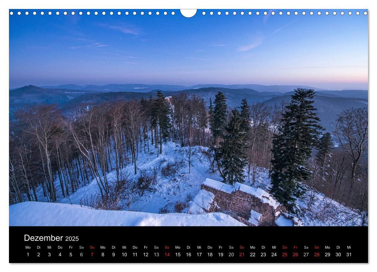 Bild: 9783435592432 | Mystischer Pfälzer Wald (Wandkalender 2025 DIN A3 quer), CALVENDO...