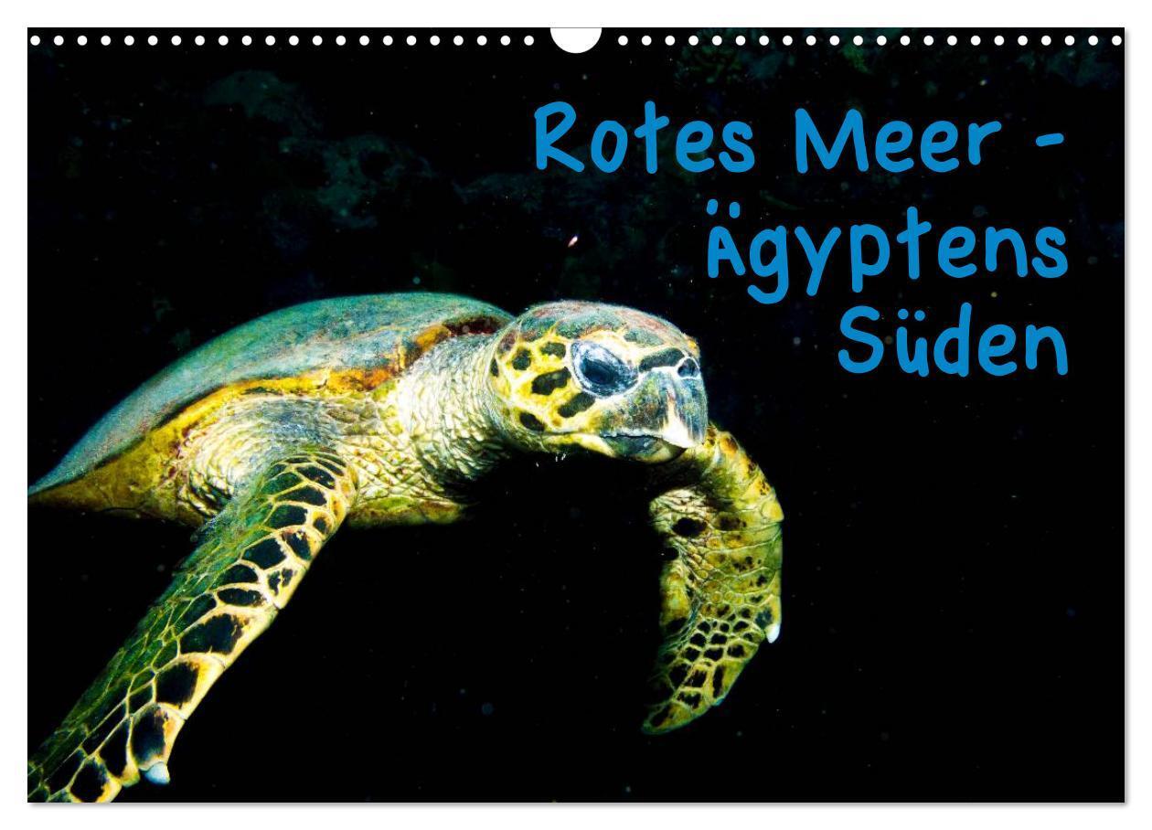 Cover: 9783383376443 | Rotes Meer - Ägyptens Süden (Wandkalender 2024 DIN A3 quer),...