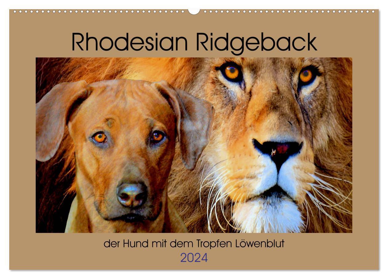 Cover: 9783383169083 | Rhodesian Ridgeback der Hund mit dem Tropfen Löwenblut...