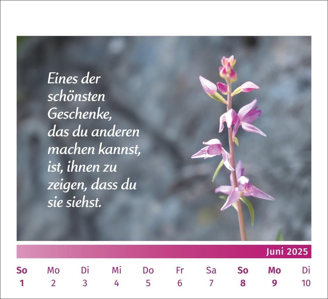Bild: 9783840196072 | PAL - Der Lebensfreude Tischkalender 2025 | Kalender | Spiralbindung