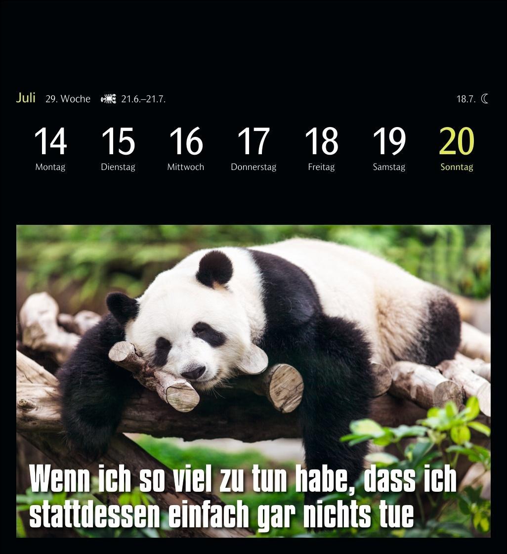 Bild: 9783840035012 | Animal Memes Postkartenkalender 2025 - 53 tierisch witzige Postkarten