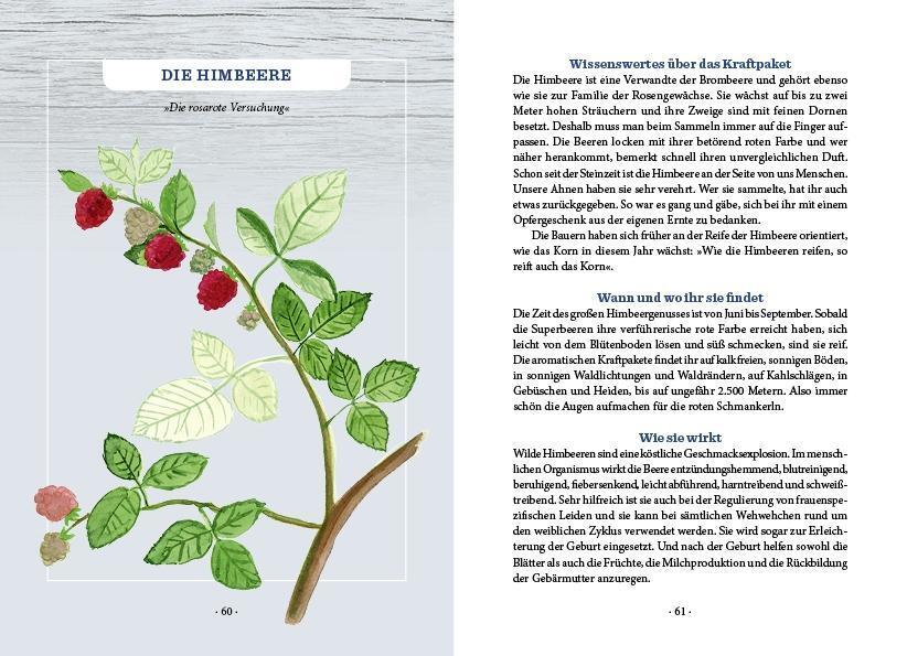 Bild: 9783710402074 | Unser heimisches Superfood | Elisabeth Dießl (u. a.) | Buch | 180 S.