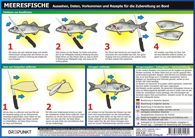 Bild: 9783864481581 | Info-Tafel-Set Meeresfische | Michael Schulze | Poster | Deutsch