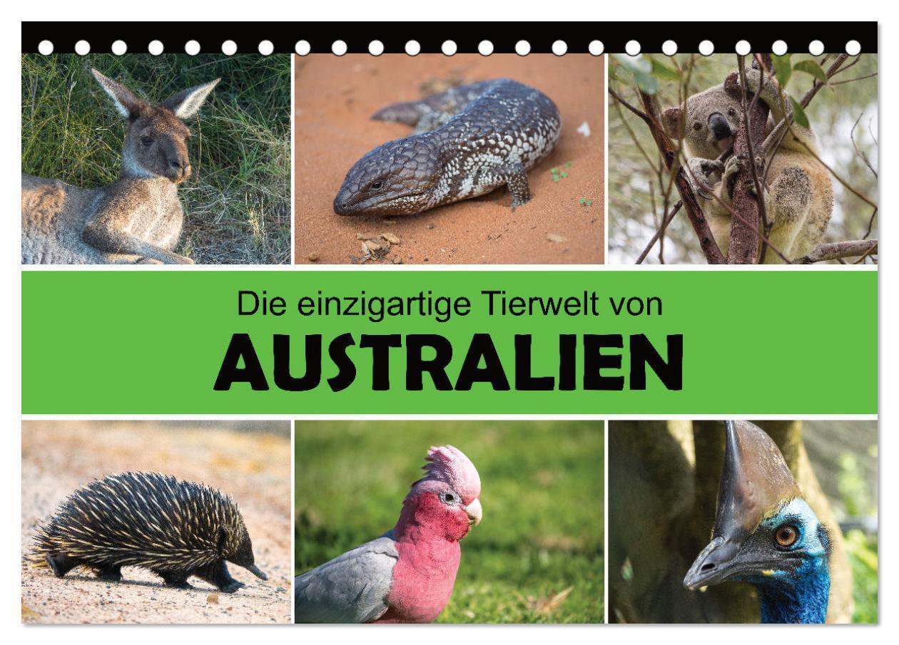 Cover: 9783675510074 | Die einzigartige Tierwelt von Australien (Tischkalender 2024 DIN A5...
