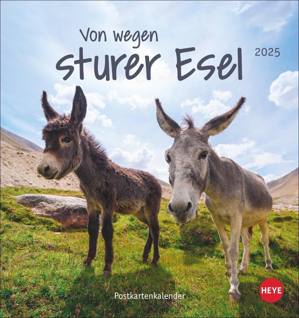Cover: 9783756407149 | Esel Postkartenkalender 2025 - Von wegen sturer Esel | Heye | Kalender