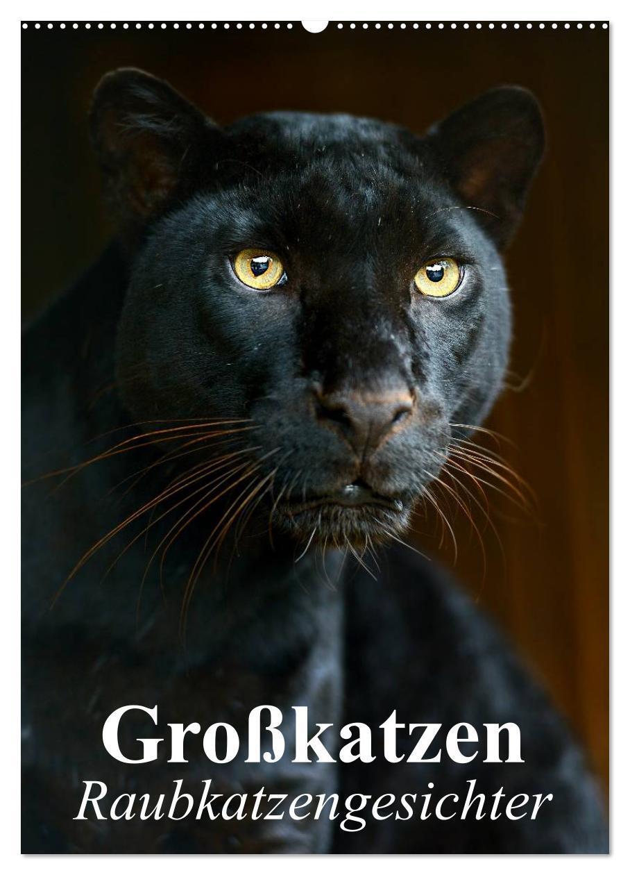 Cover: 9783383531347 | Großkatzen. Raubkatzengesichter (Wandkalender 2024 DIN A2 hoch),...