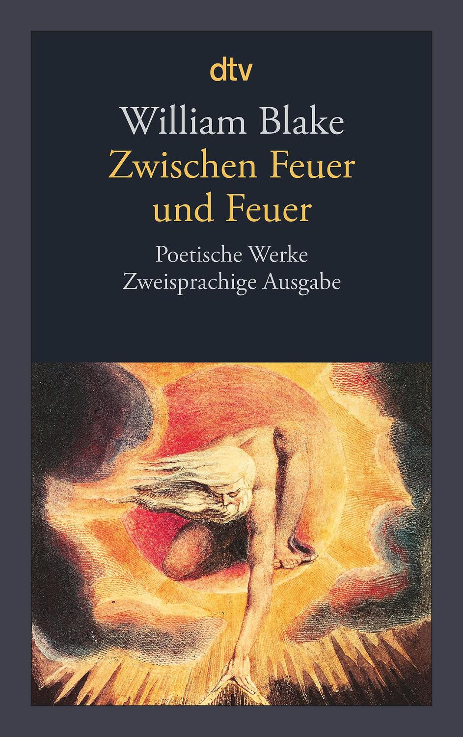 Cover: 9783423135993 | Zwischen Feuer und Feuer | Poetische Werke | William Blake | Buch