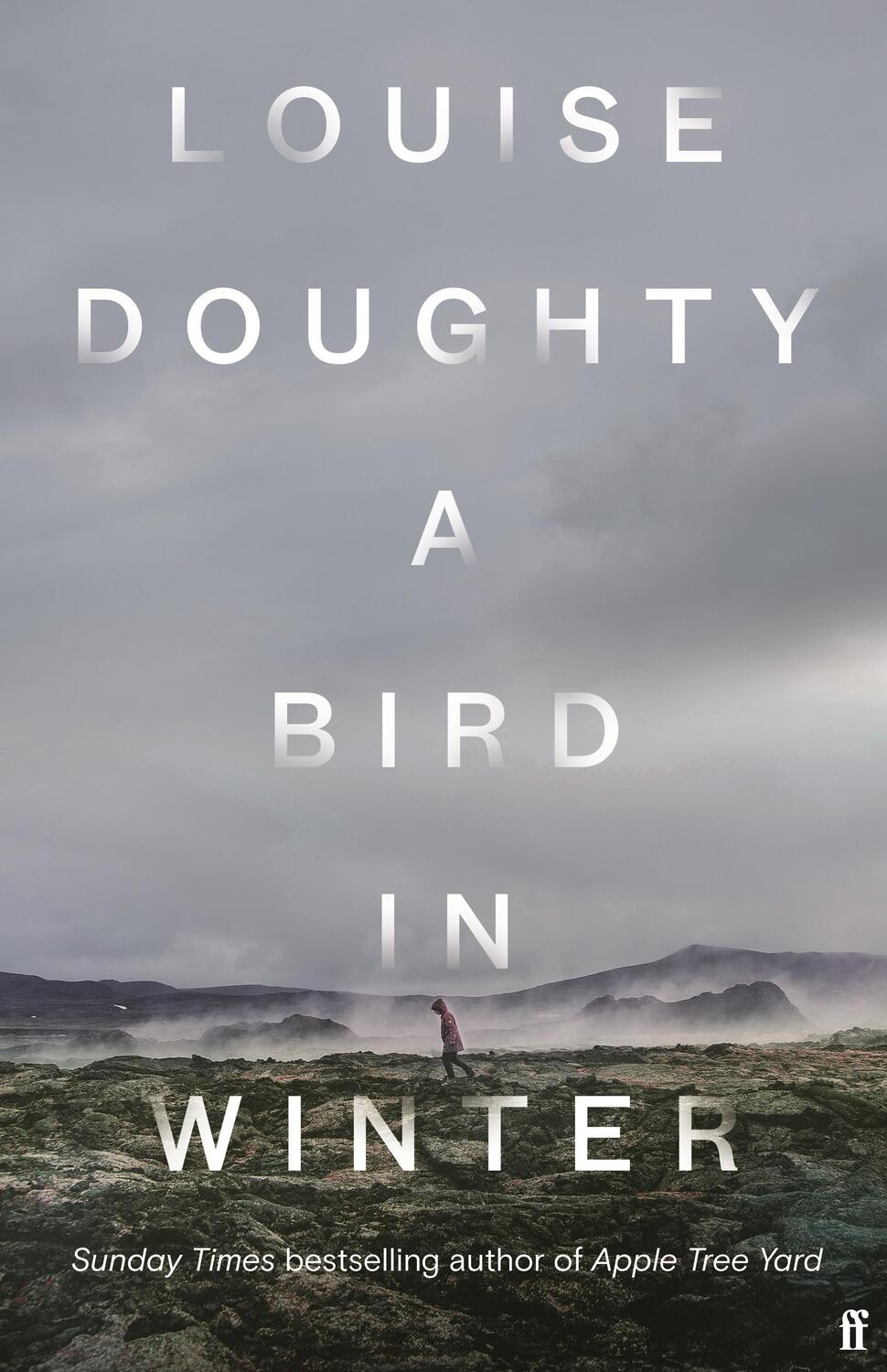 Cover: 9780571322183 | A Bird in Winter | Louise Doughty | Taschenbuch | Englisch | 2023