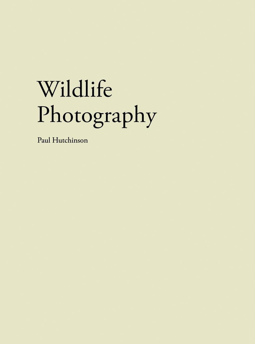 Cover: 9783941644885 | Wildlife Photography | Hutchinson Paul | Taschenbuch | 48 S. | 2016