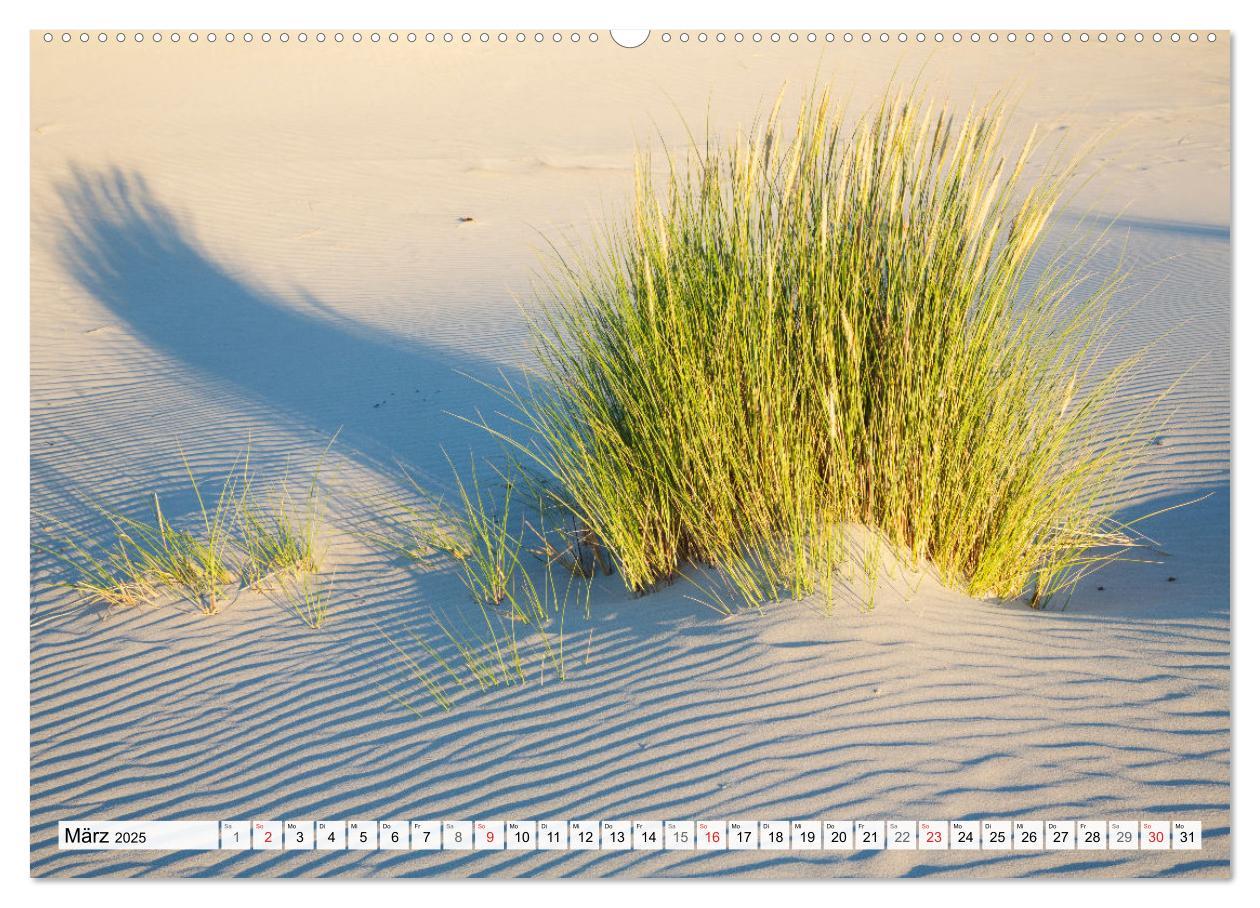 Bild: 9783435617586 | Amrum. Natur und Landschaften (Wandkalender 2025 DIN A2 quer),...