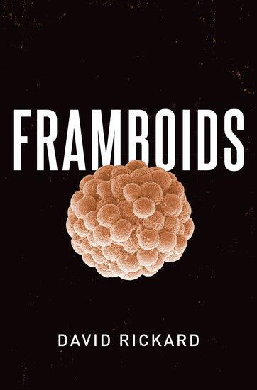 Cover: 9780190080112 | Framboids | David Rickard | Buch | Gebunden | Englisch | 2021