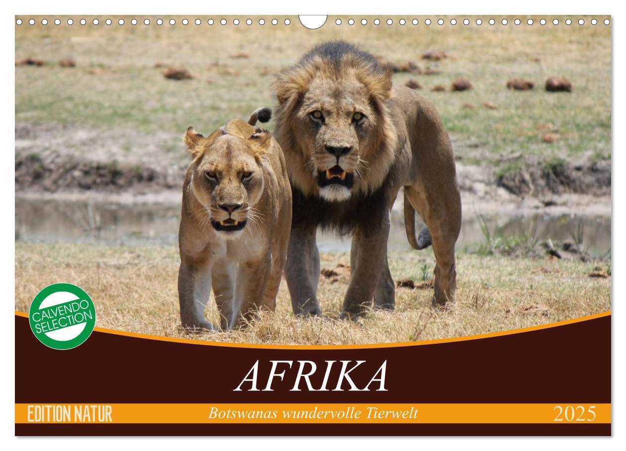 Cover: 9783435419074 | Afrika. Botswanas wundervolle Tierwelt (Wandkalender 2025 DIN A3...