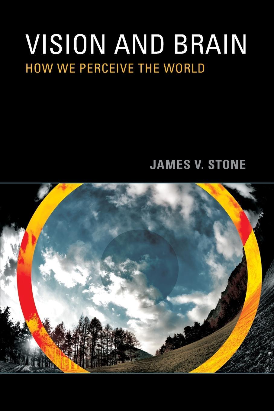 Cover: 9780262517737 | Vision and Brain | How We Perceive the World | James V. Stone | Buch