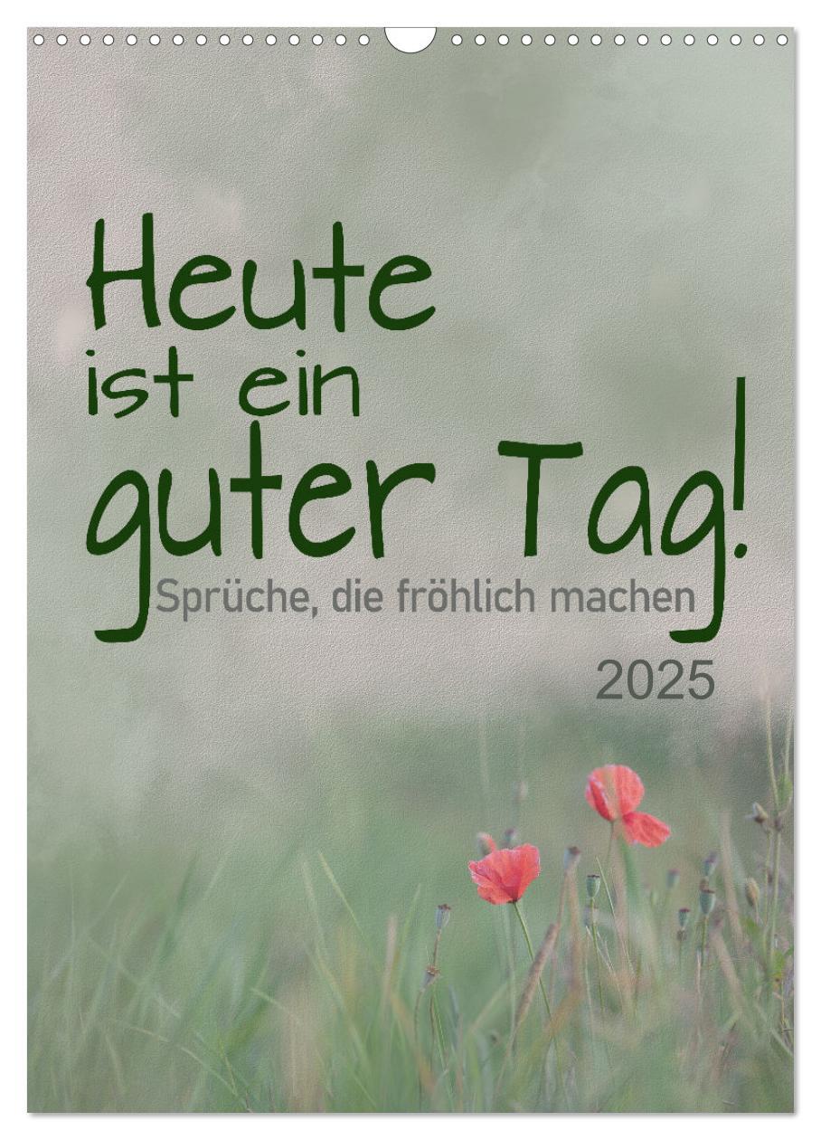 Cover: 9783435902101 | Heute ist ein guter Tag (Wandkalender 2025 DIN A3 hoch), CALVENDO...