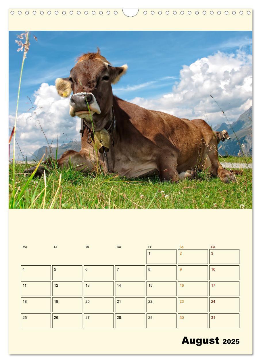 Bild: 9783435903993 | Glückliche Bergkühe (Wandkalender 2025 DIN A3 hoch), CALVENDO...