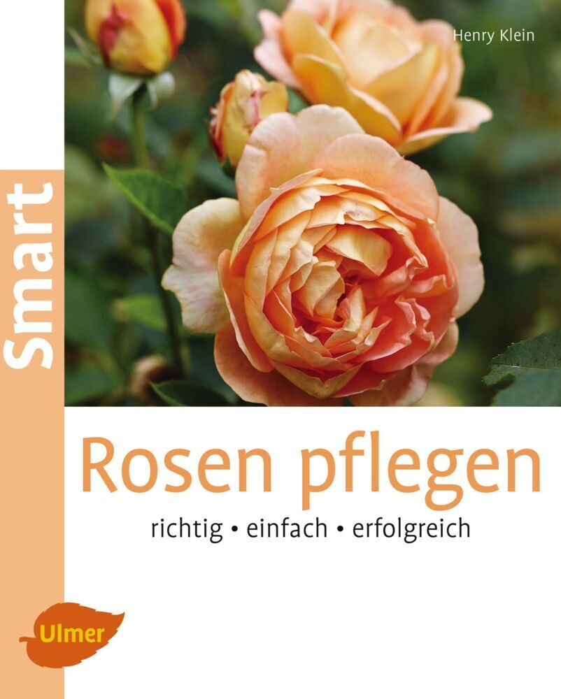 Cover: 9783800103102 | Rosen pflegen | Richtig - einfach - erfolgreich | Henry Klein | Buch