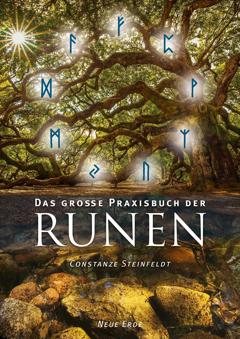 Cover: 9783890607009 | Das große Praxisbuch der Runen | Constanze Steinfeldt | Taschenbuch