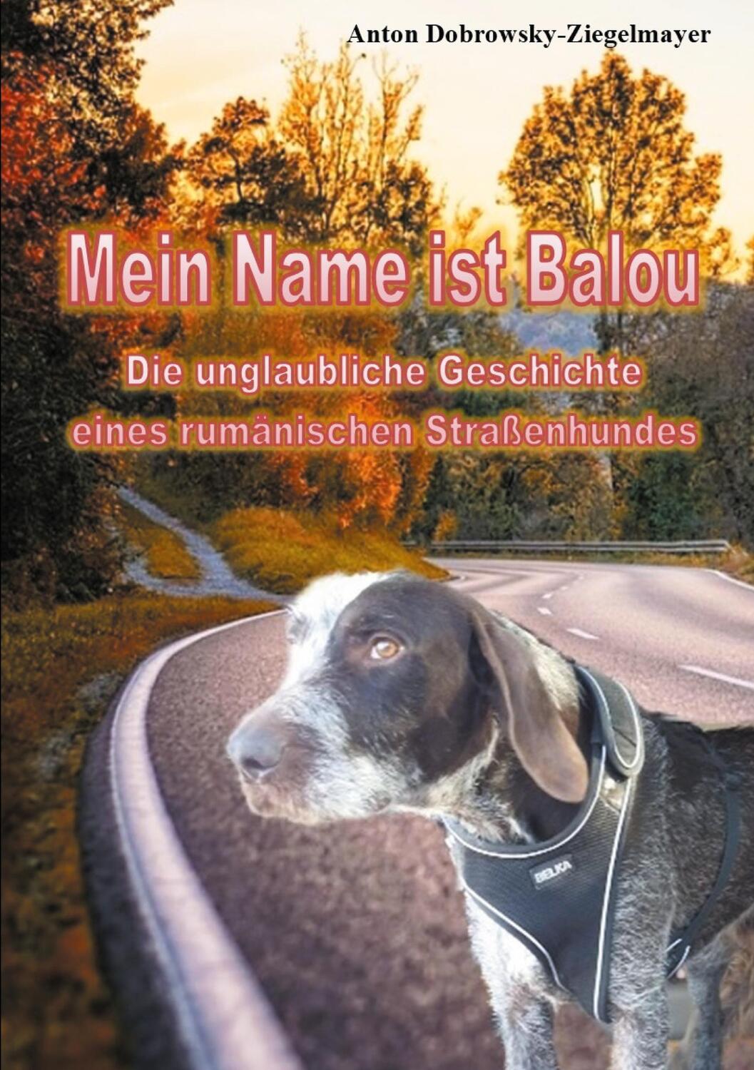 Cover: 9783754346136 | Mein Name ist Balou | Anton Dobrowsky-Ziegelmayer | Taschenbuch