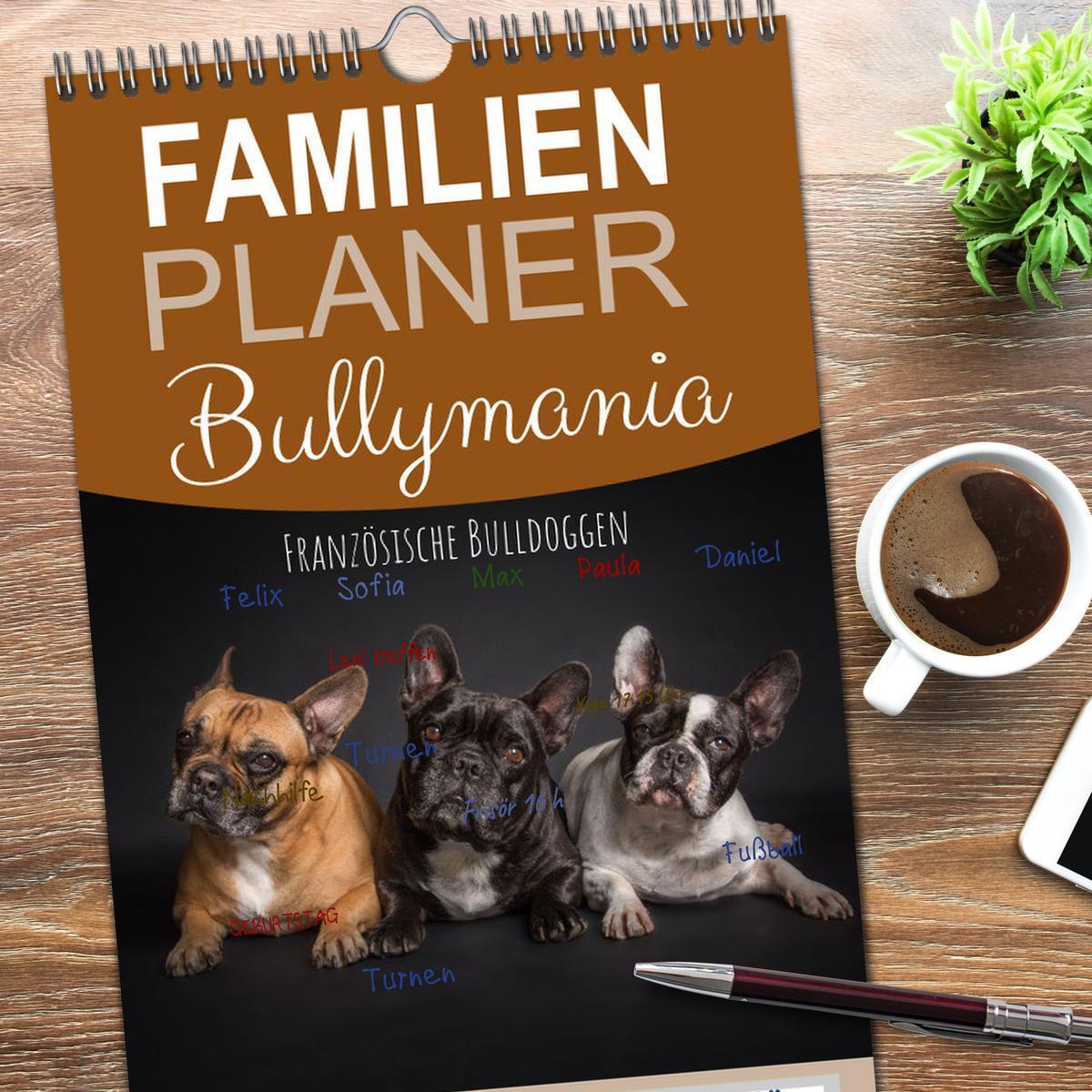 Bild: 9783457101940 | Familienplaner 2025 - Bullymania - Französische Bulldoggen mit 5...