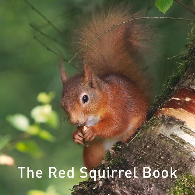 Cover: 9781912654178 | The Red Squirrel Book | Russ Jane | Buch | Nature Book | Englisch
