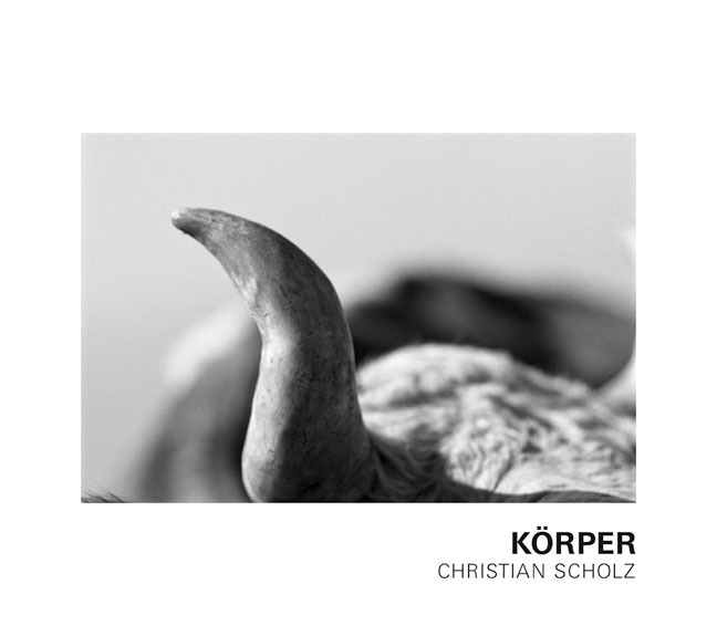 Cover: 9783796527586 | Christian Scholz - Körper | Christian Scholz | Buch | 116 S. | Deutsch
