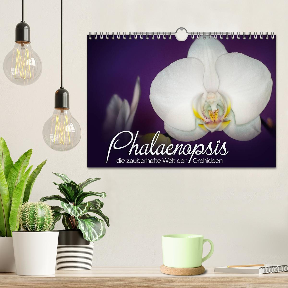 Bild: 9783435689750 | Phalaenopsis - die zauberhafte Welt der Orchideen (Wandkalender...