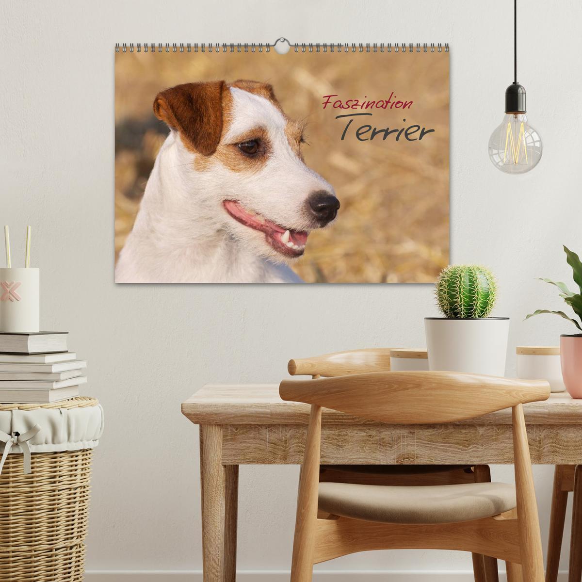 Bild: 9783435633616 | Faszination Terrier (Wandkalender 2025 DIN A3 quer), CALVENDO...