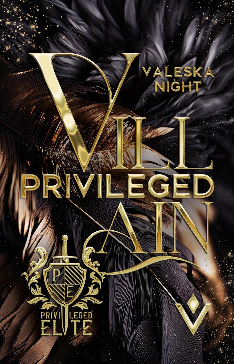 Cover: 9783985954513 | Privileged Villain | Night Valeska | Taschenbuch | 440 S. | Deutsch