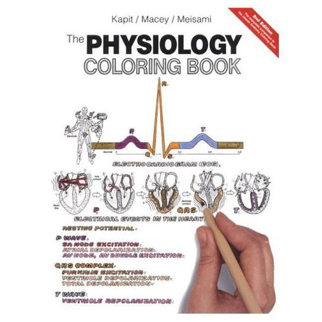 Cover: 9780321036636 | The Physiology Coloring Book | Wynn Kapit (u. a.) | Taschenbuch | 1999