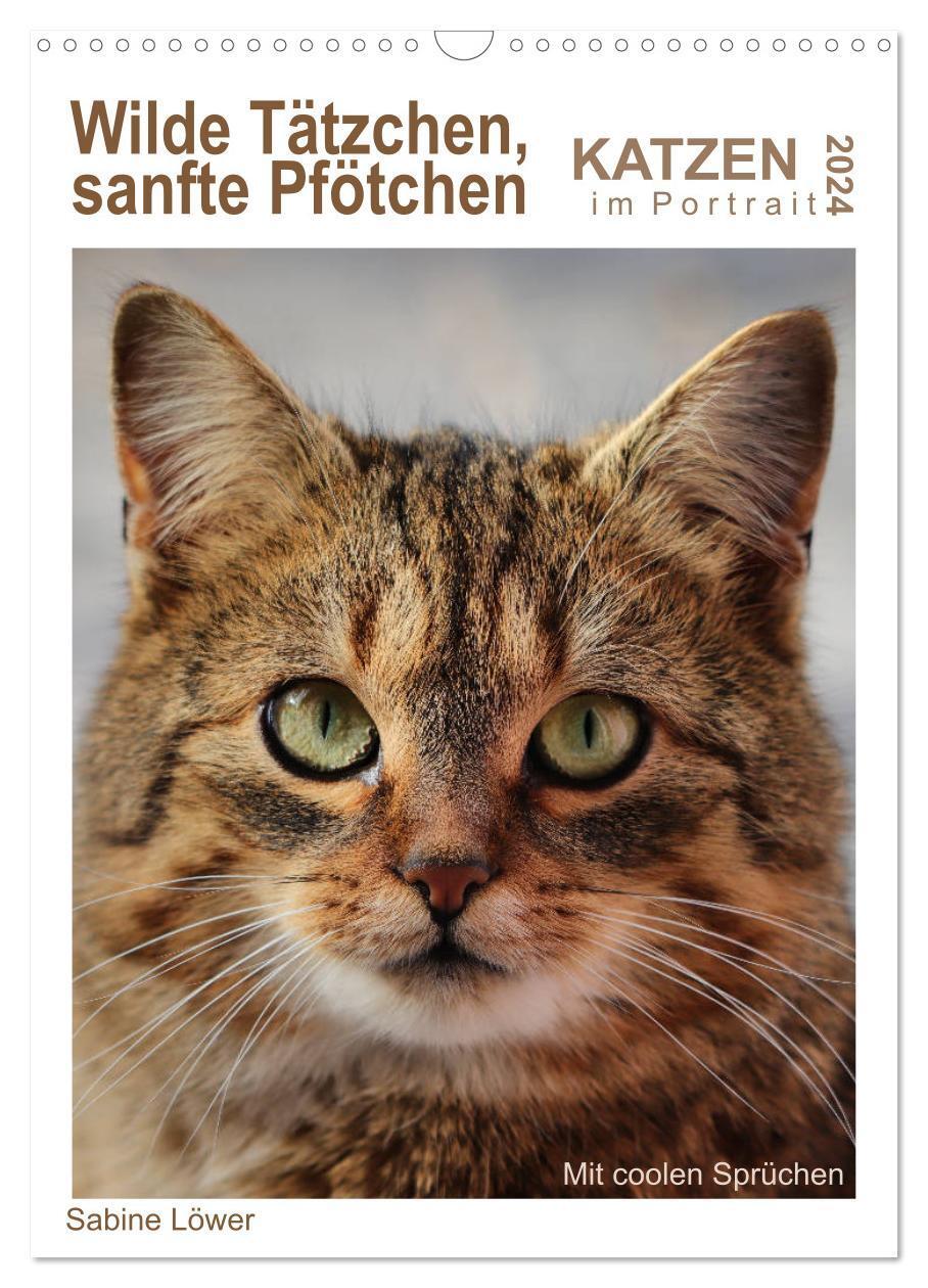 Cover: 9783383018077 | Wilde Tätzchen, sanfte Pfötchen (Wandkalender 2024 DIN A3 hoch),...