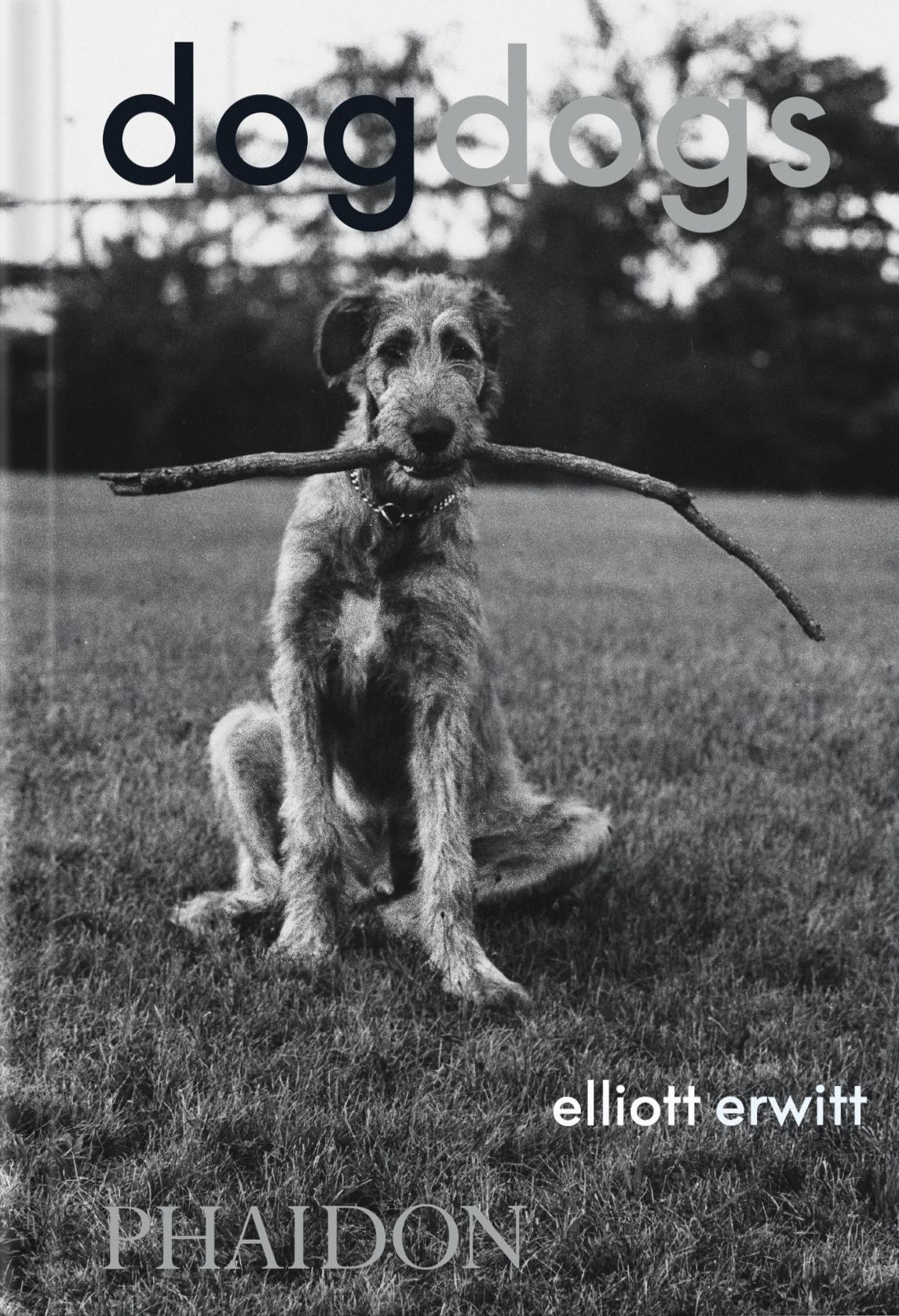 Cover: 9781838669256 | DogDogs | Elliott Erwitt | Buch | Phaidon Press | 512 S. | Englisch