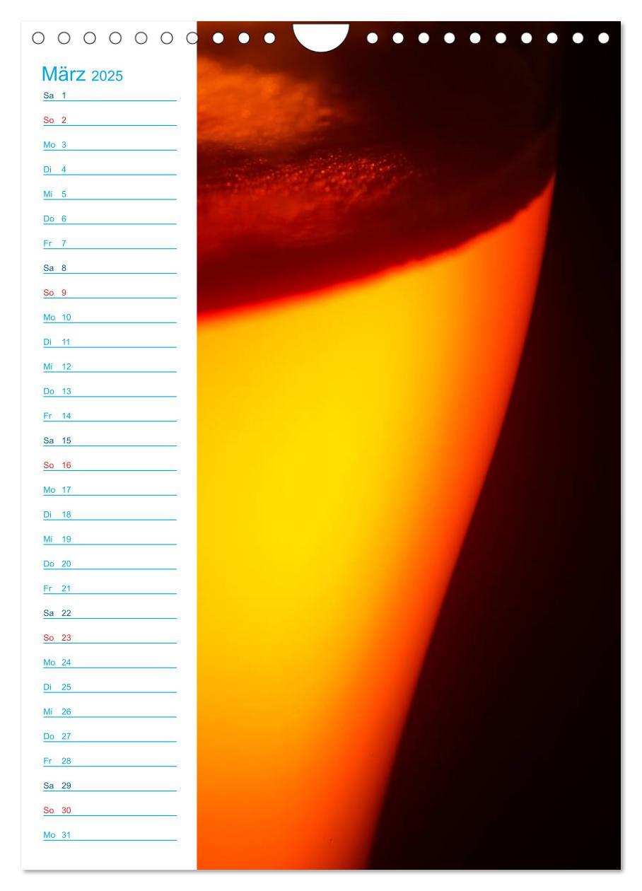 Bild: 9783457019962 | Bier (Wandkalender 2025 DIN A4 hoch), CALVENDO Monatskalender | Jäger