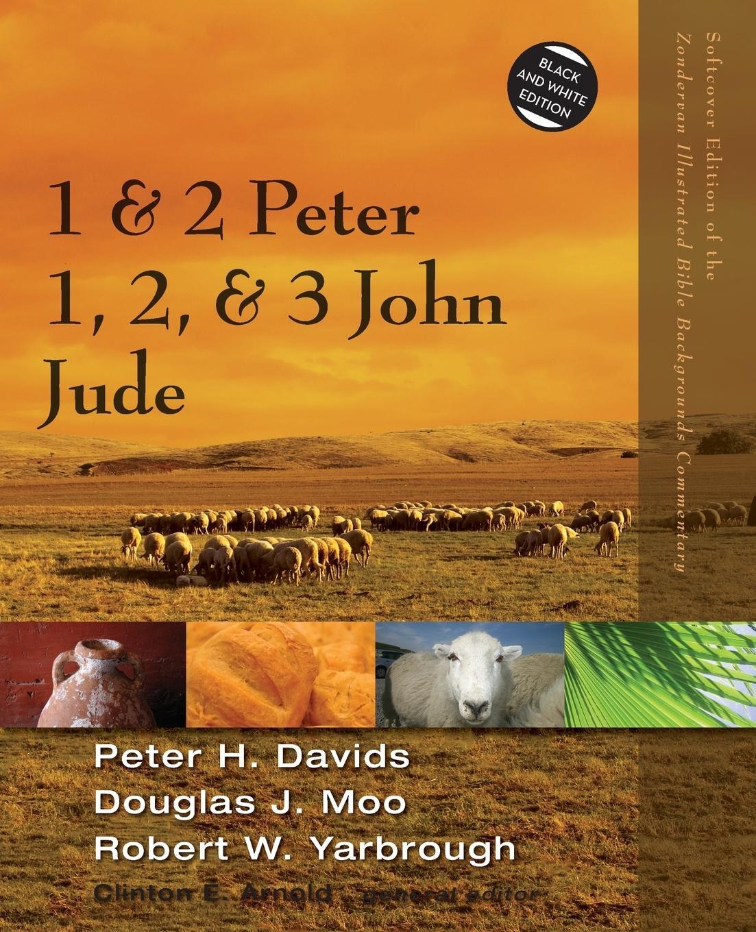 Cover: 9780310523086 | 1 and 2 Peter, Jude, 1, 2, and 3 John | Peter H. Davids (u. a.) | Buch