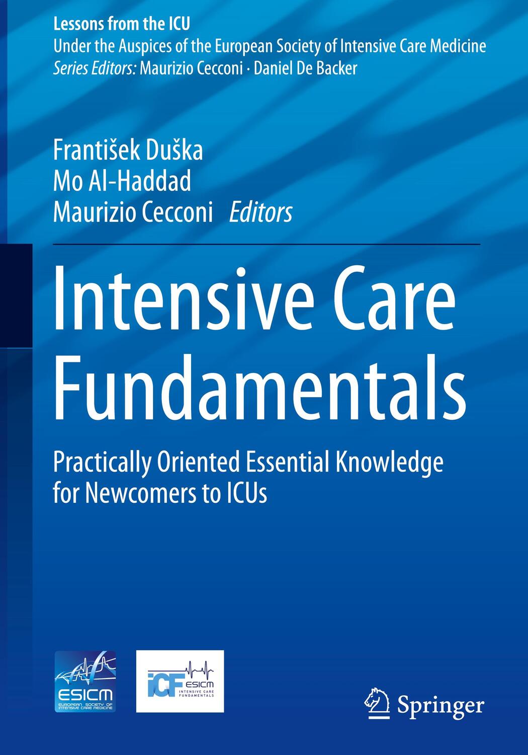 Cover: 9783031219900 | Intensive Care Fundamentals | Franti¿ek Du¿ka (u. a.) | Buch | XIX