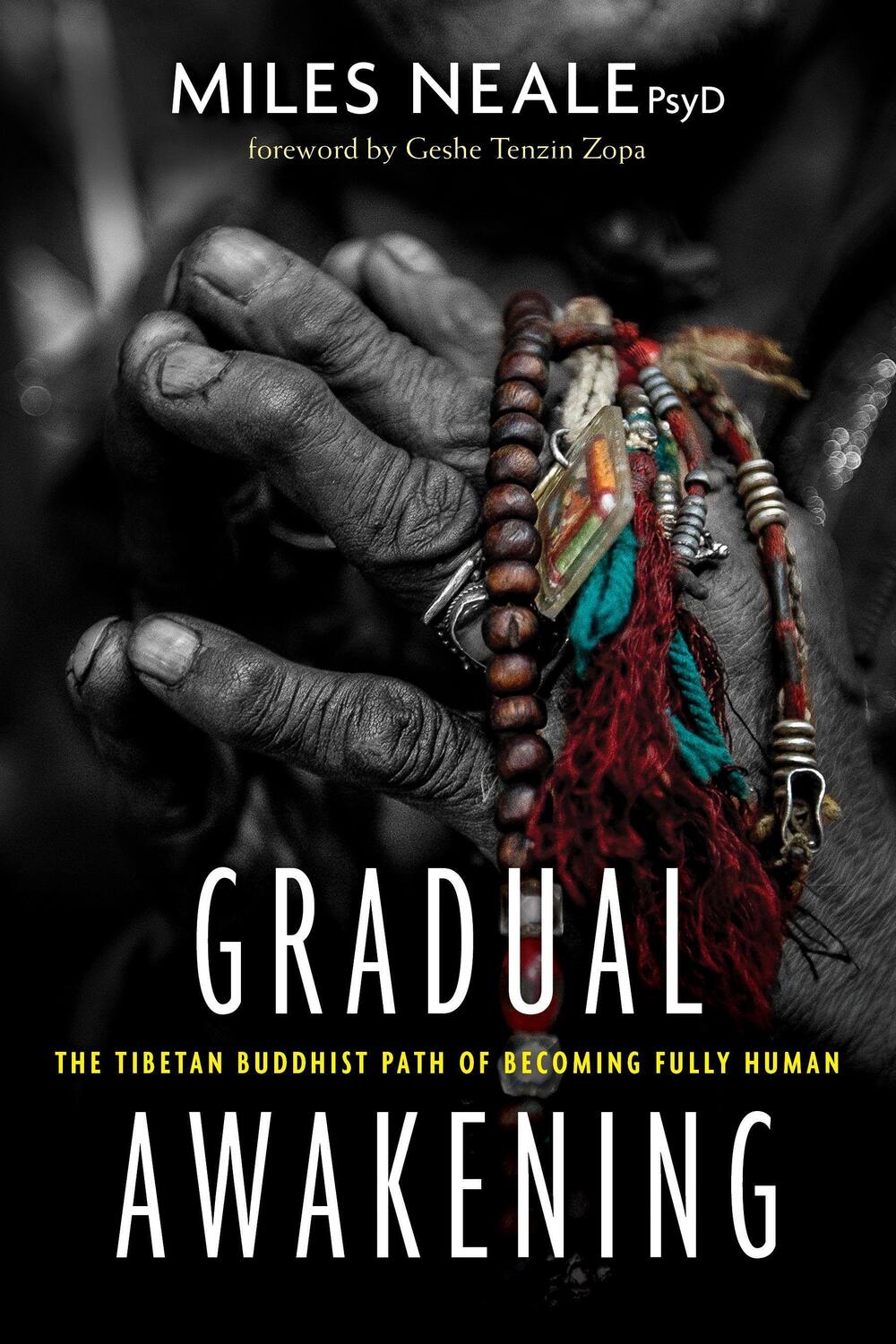 Cover: 9781683642091 | Gradual Awakening: The Tibetan Buddhist Path of Becoming Fully Human