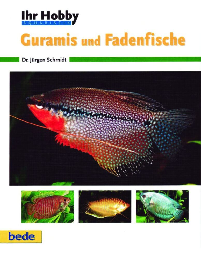 Cover: 9783931792480 | Ihr Hobby Guramis und Fadenfische | Jürgen Schmidt | Buch | 80 S.